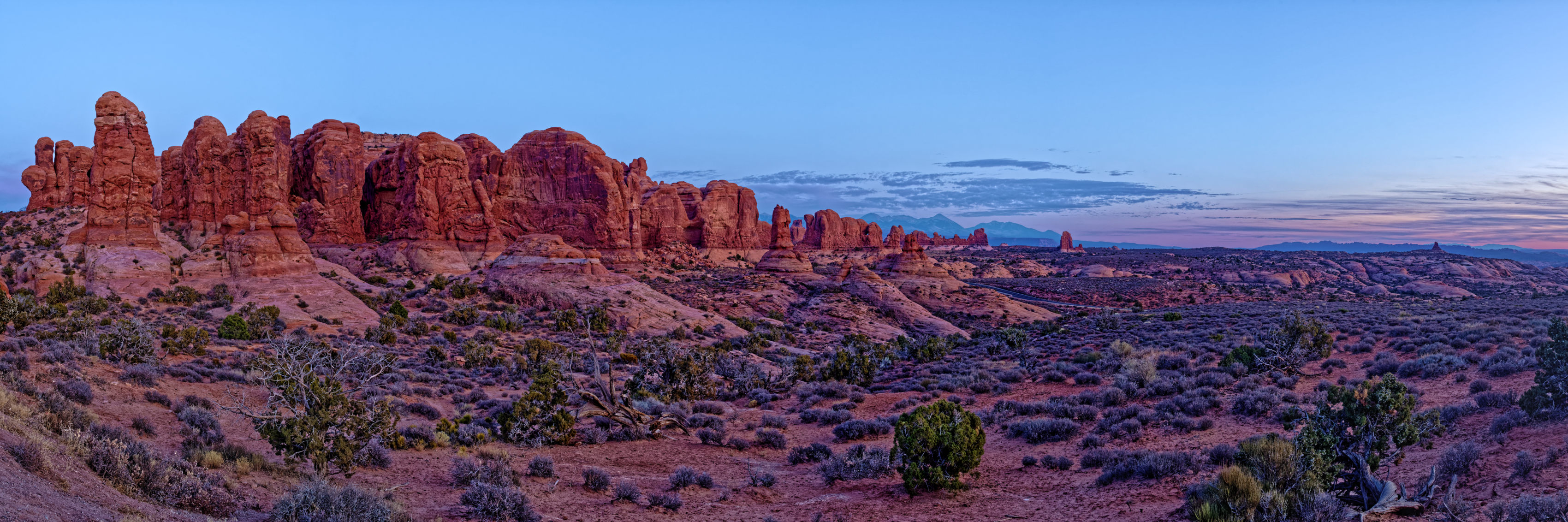Landscape or Nature Photograph