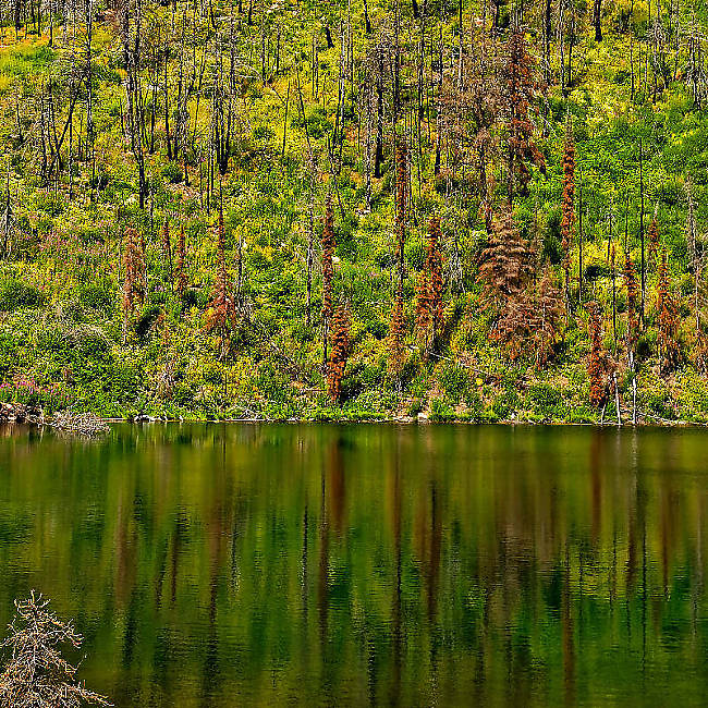 Landscape and Nature Images