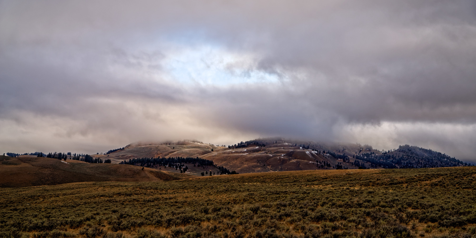 Main Landscape or Nature Photograph