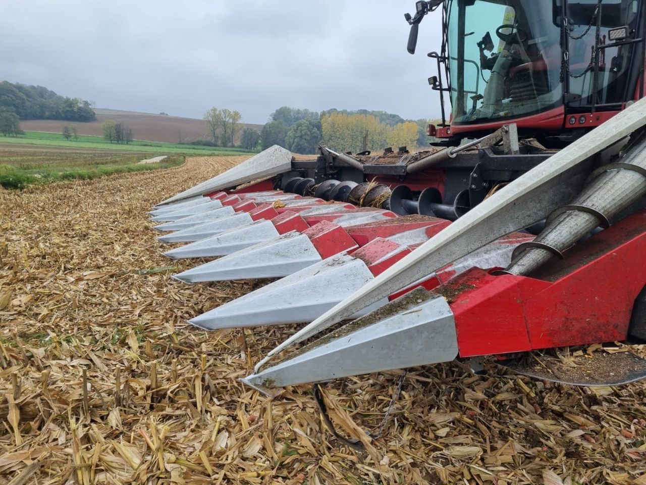 Dominoni sl Header €39,500