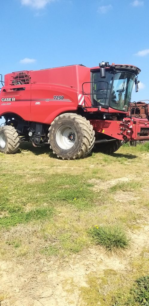 Case IH Axial-Flow 7250 Combină de recoltat 240.000 EUR