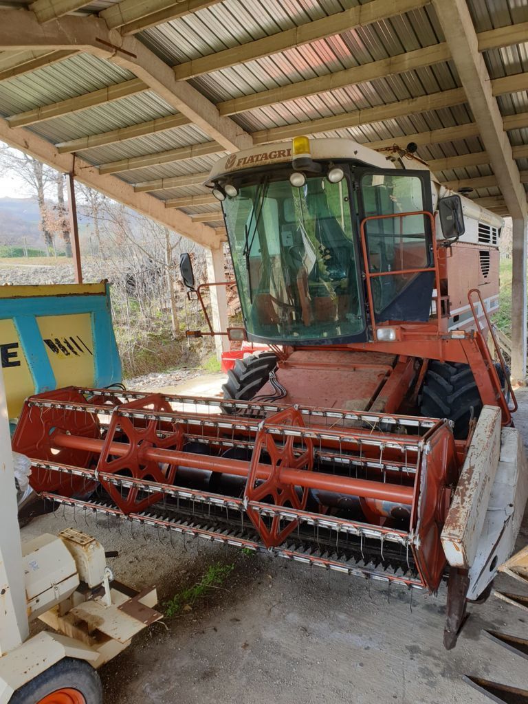 E-FARM: Laverda 3750 - Moissoneuse-batteuse - id 6QCNSJN - 16 900 € - Année: 1987 - Lecture du nombre d'heure: 7 730,Italie