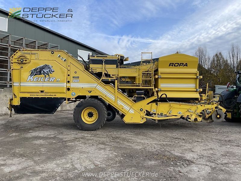 Ropa keiler ii Burgonya betakarító 208 300 EUR