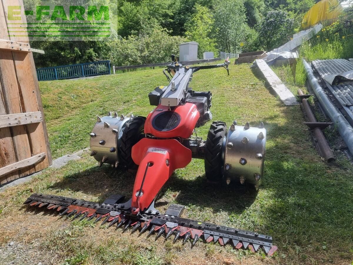 AEBI Χλοοκοπτικό 17.750 €