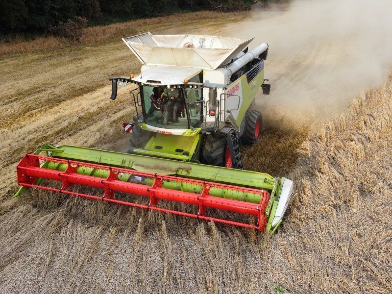 E-FARM: Claas Trion 730 - Combine harvester - id 2AJPIS5 - €443,870 - Year of construction: 2023 - Engine hours: 292,Engine power (HP): 408,Germany