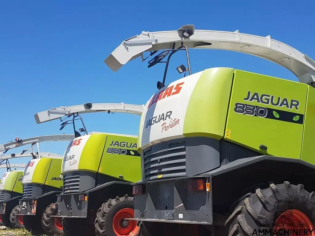 E-FARM: sonstige claas 800 and 900 series - Cosechadora de forraje autopropulsada - id FGET2JG - Países Bajos
