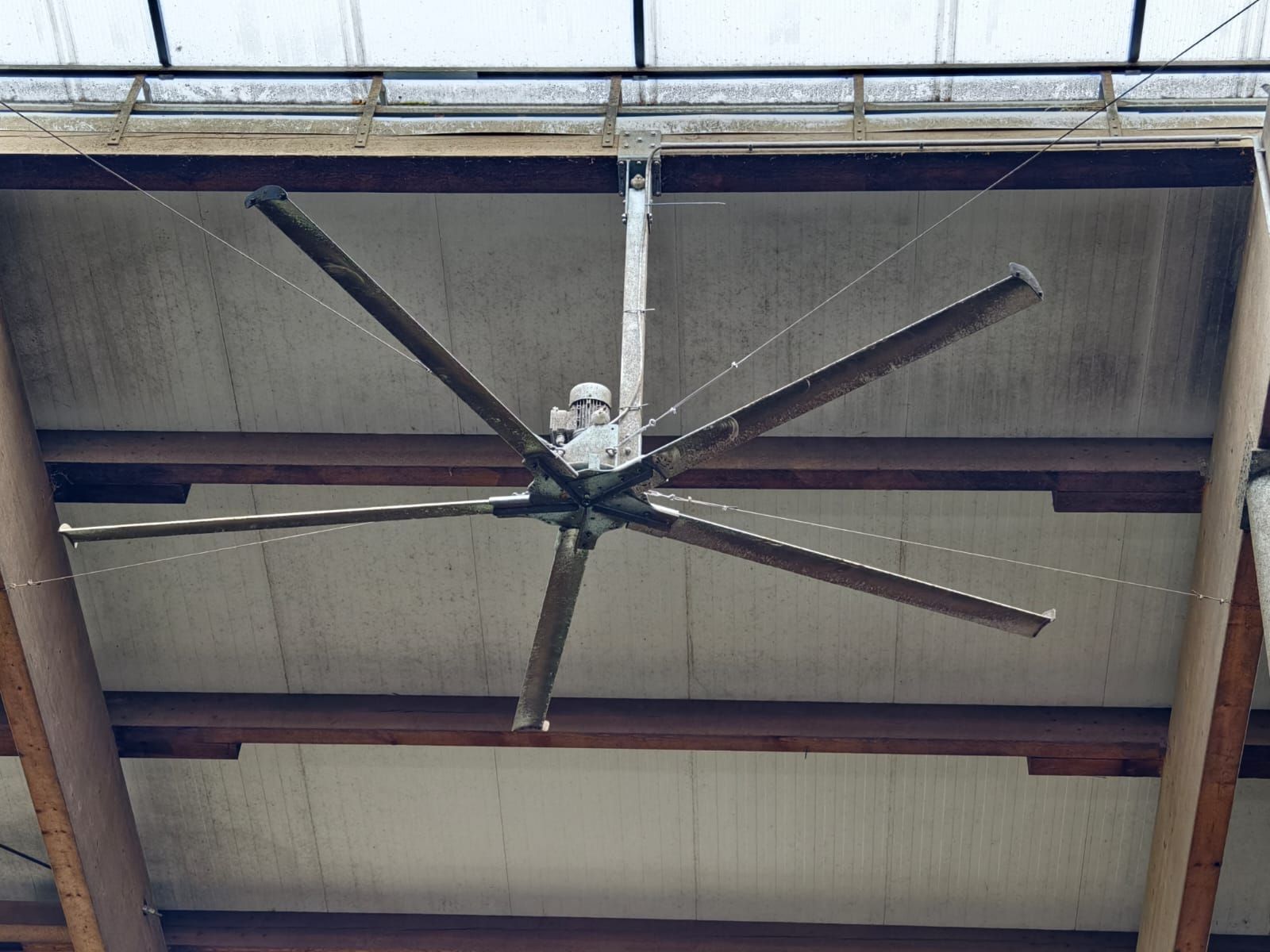 sonstige deckenventilator gebraucht dm 3,90 - ventilator Maszyna do hodowli zwierząt 2500 €