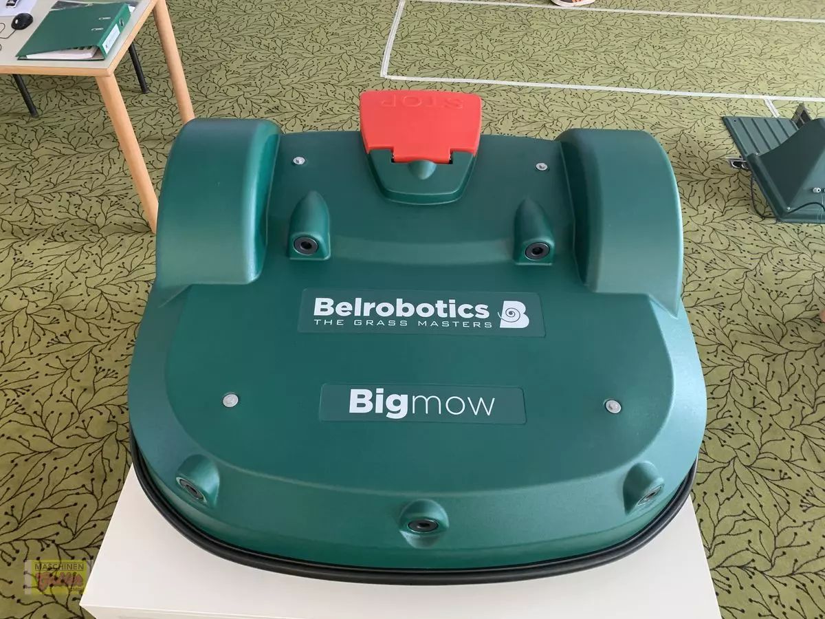 E-FARM: sonstige bigmow, parcmow, ballpicker - Tondeuse - id EZZHJU5 - 9 999 € - Année: 2021 - Autriche