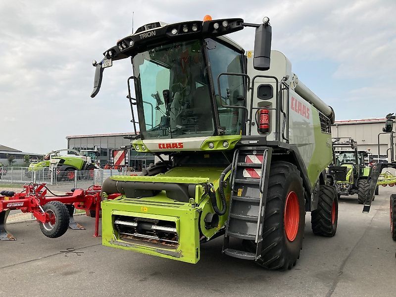E-FARM: Claas Trion 520 - Moissoneuse-batteuse - id MAU9FQG - 215 000 € - Année: 2022 - Lecture du nombre d'heure: 212,Puissance du moteur (chevaux): 258,Allemagne