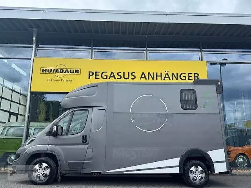 E-FARM: Peugeot boxer 2 pferdetransporter 3,5t - Trailer - id LASQPEU - €33,613 - Year of construction: 2017 - Germany