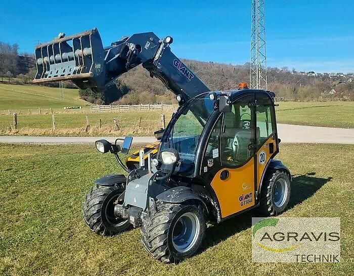 E-FARM: Giant gt5048 - Telehandler - id MUZRBYG - €43,500 - Year of construction: 2022 - Engine hours: 761,Engine power (HP): 50,Germany