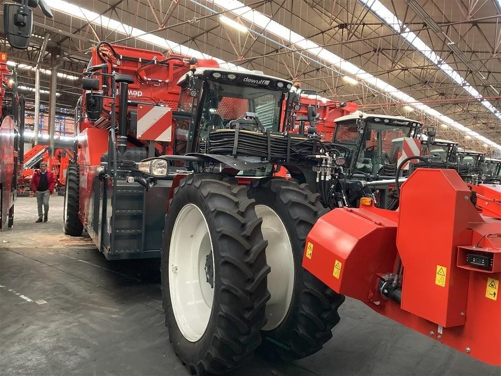 E-FARM: Dewulf rqa3060 - topkæde - Arracheuse de pomme de terre - id CEEQGNI - 503 036 € - Année: 2024 - Puissance du moteur (chevaux): 350,Danemark
