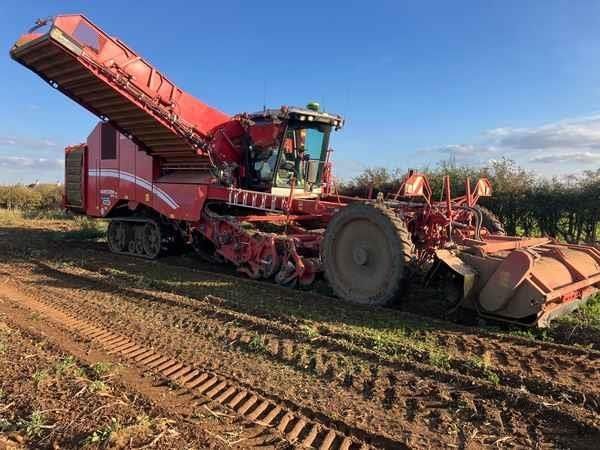 Grimme varitron 470 platinum tt Potato harvester €676,379
