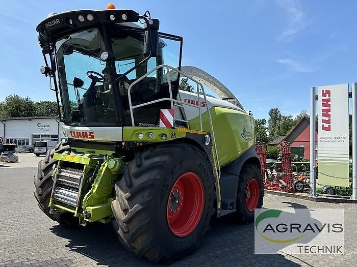 E-FARM: Claas Jaguar 940 - Ensileuse automotrice - id JXLNQIS - 198 500 € - Année: 2019 - Lecture du nombre d'heure: 2 234,Puissance du moteur (chevaux): 510,Allemagne