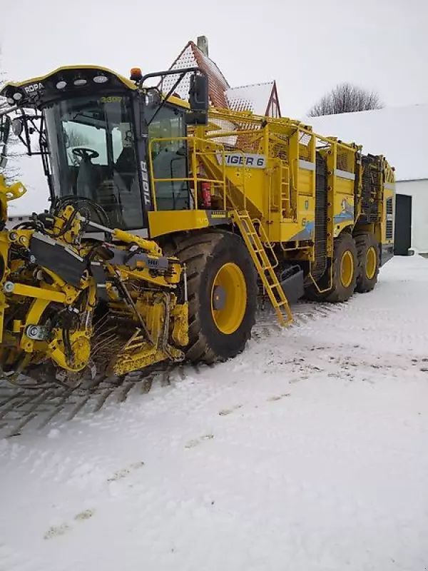 Ropa ropa tiger 6s 2024 Kombajn buraczany