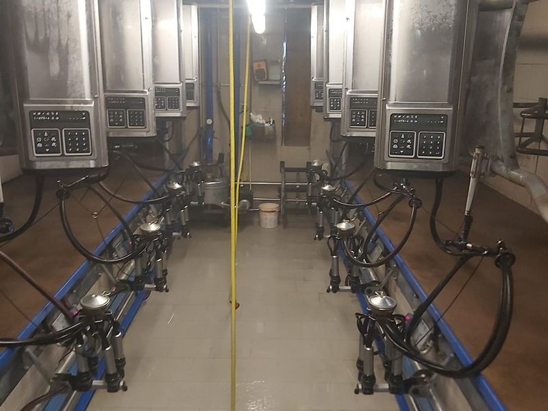 DeLaval fmg d-30 melkstand Urządzenie udojowe 11 500 €