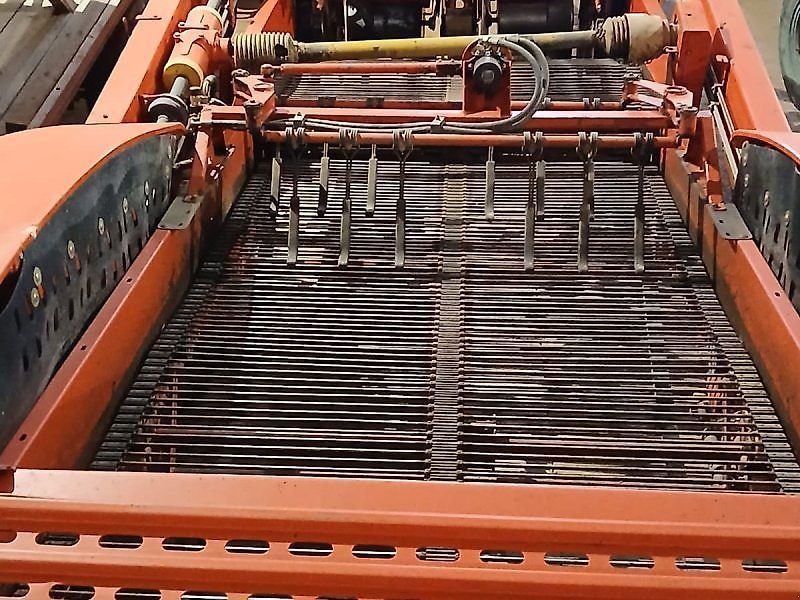 E-FARM: Grimme gz 1700 dls - Arracheuse de pomme de terre - id 89NBPSJ - 14 900 € - Année: 2001 - Allemagne