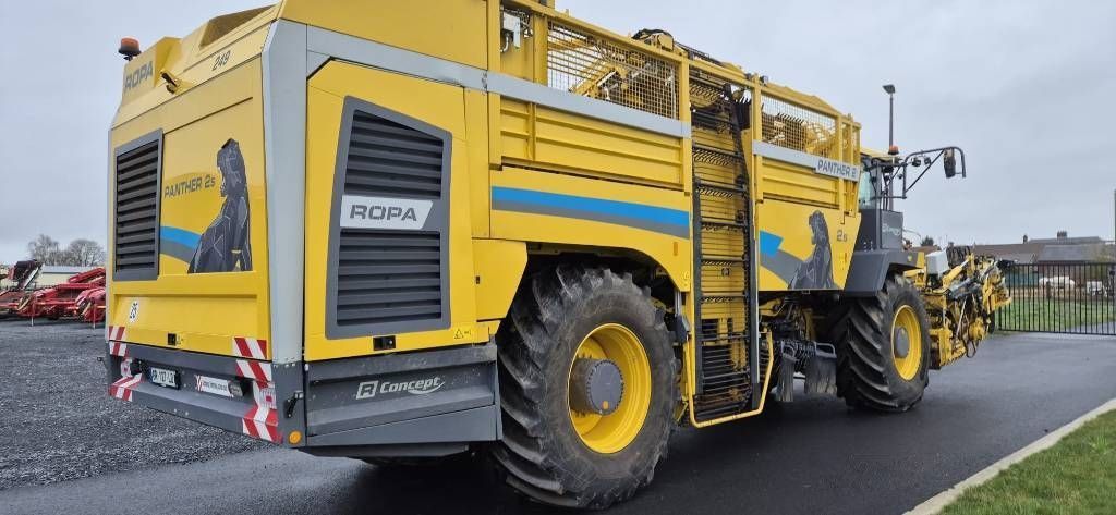 Ropa panther 2s d Kombajn buraczany