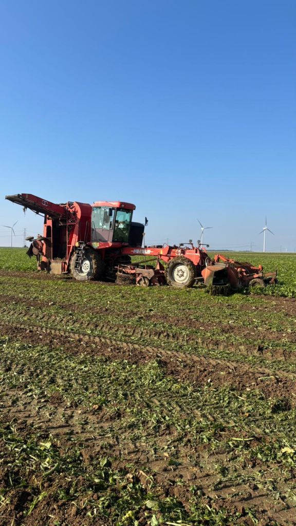 Matrot m41 Beet harvesting equipment €14,900