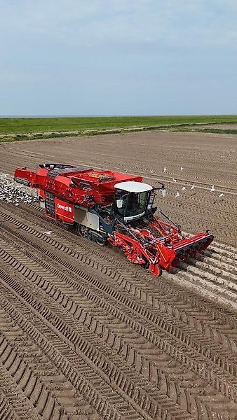 Dewulf kwatro vorführmaschine Potato harvester €675,000