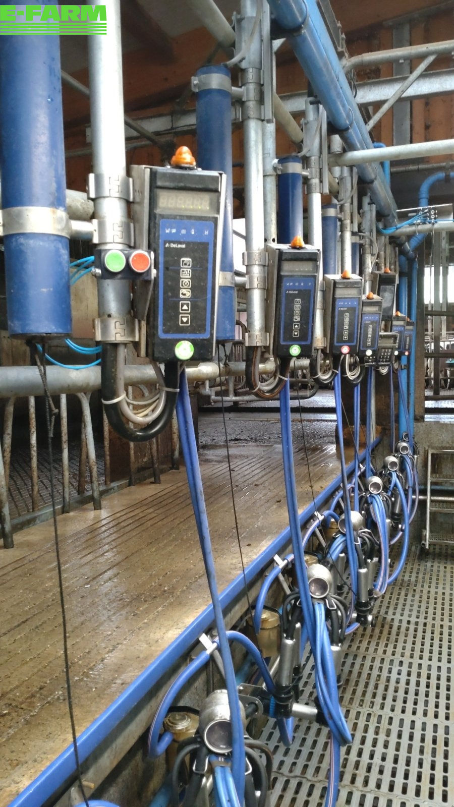 Alfa Laval fischgräten 2x7 milking_equipment 24 369 €
