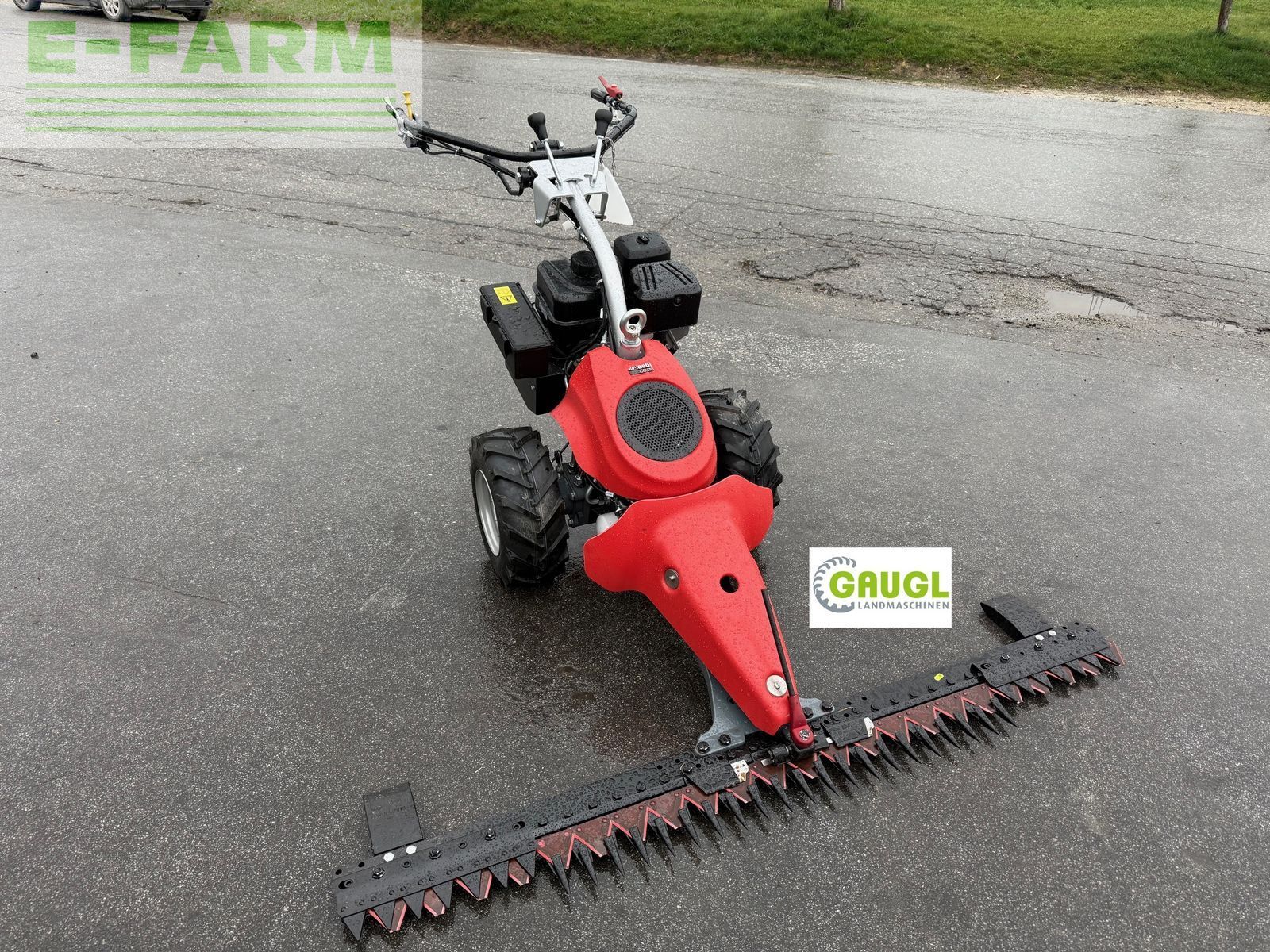 AEBI cc 110 Χλοοκοπτικό 12.742 €