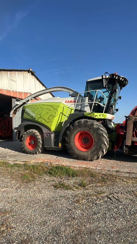 Claas Jaguar 950 Cosechadora de forraje autopropulsada