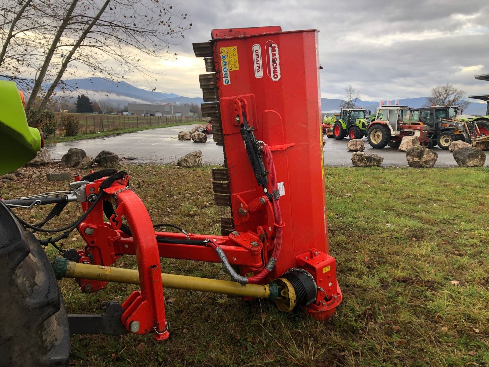 Maschio giraffa 185 topper €6,300