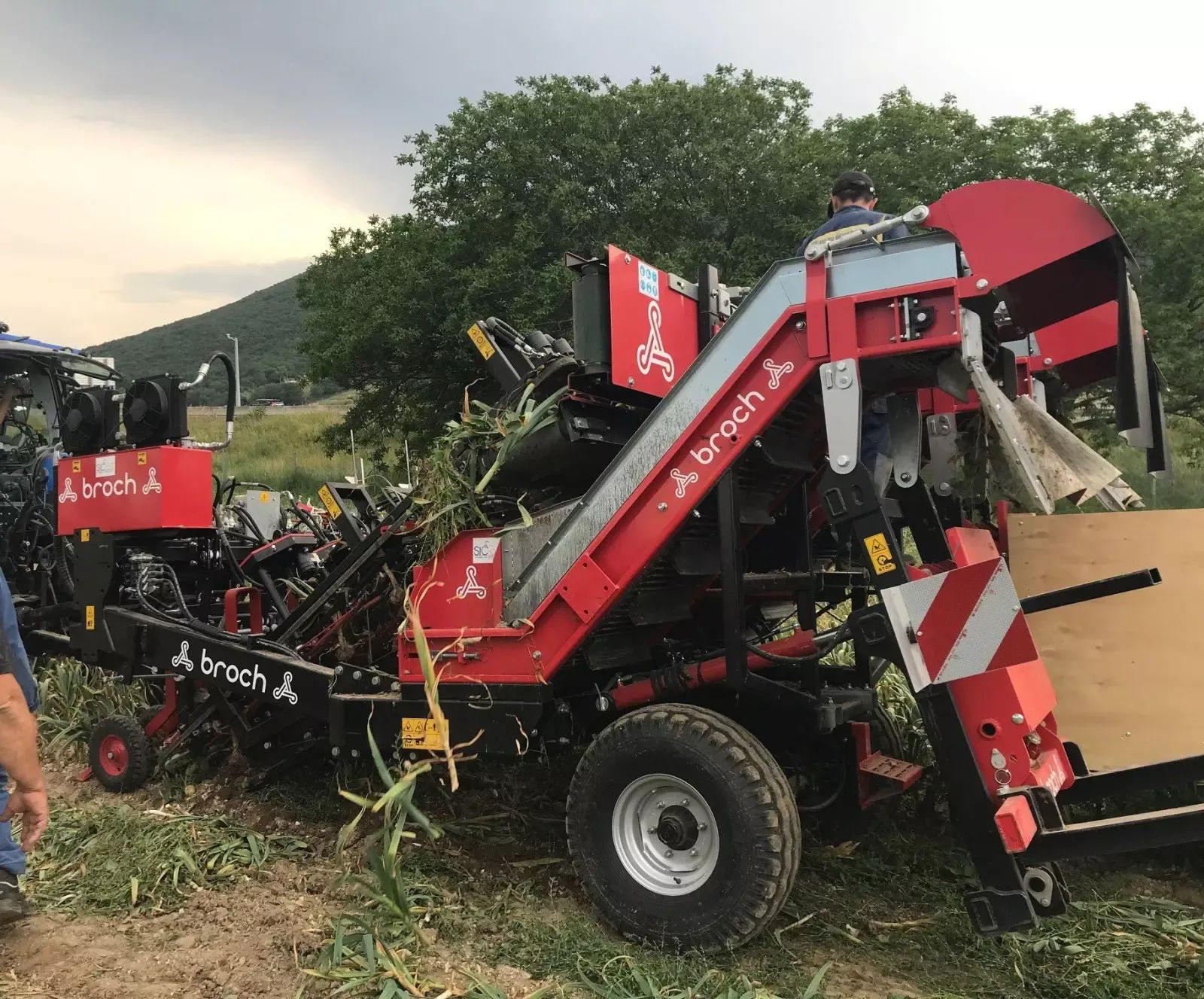 E-FARM: sonstige arracheuse arco 3 3 rangs jj broch - Cultivador - id 87ZYDXK - 55.000 € - Año: 2020 - Francia
