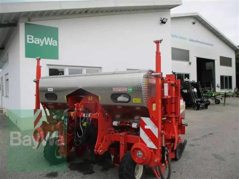 E-FARM: Maschio maga 6-reihig gaspardo pneumat - Einzelkornsämaschine - id UHLQPEB - 33.571 € - Baujahr: 2023 - Deutschland