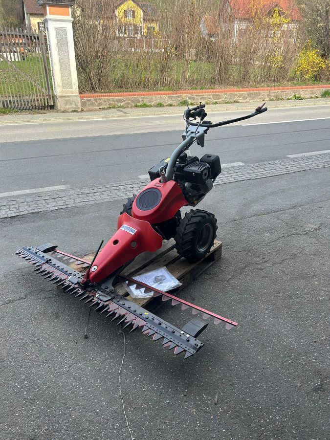 E-FARM: AEBI cc56 - Faucheuse - id J7LWSRS - 21 584 € - Année: 2023 - Autriche