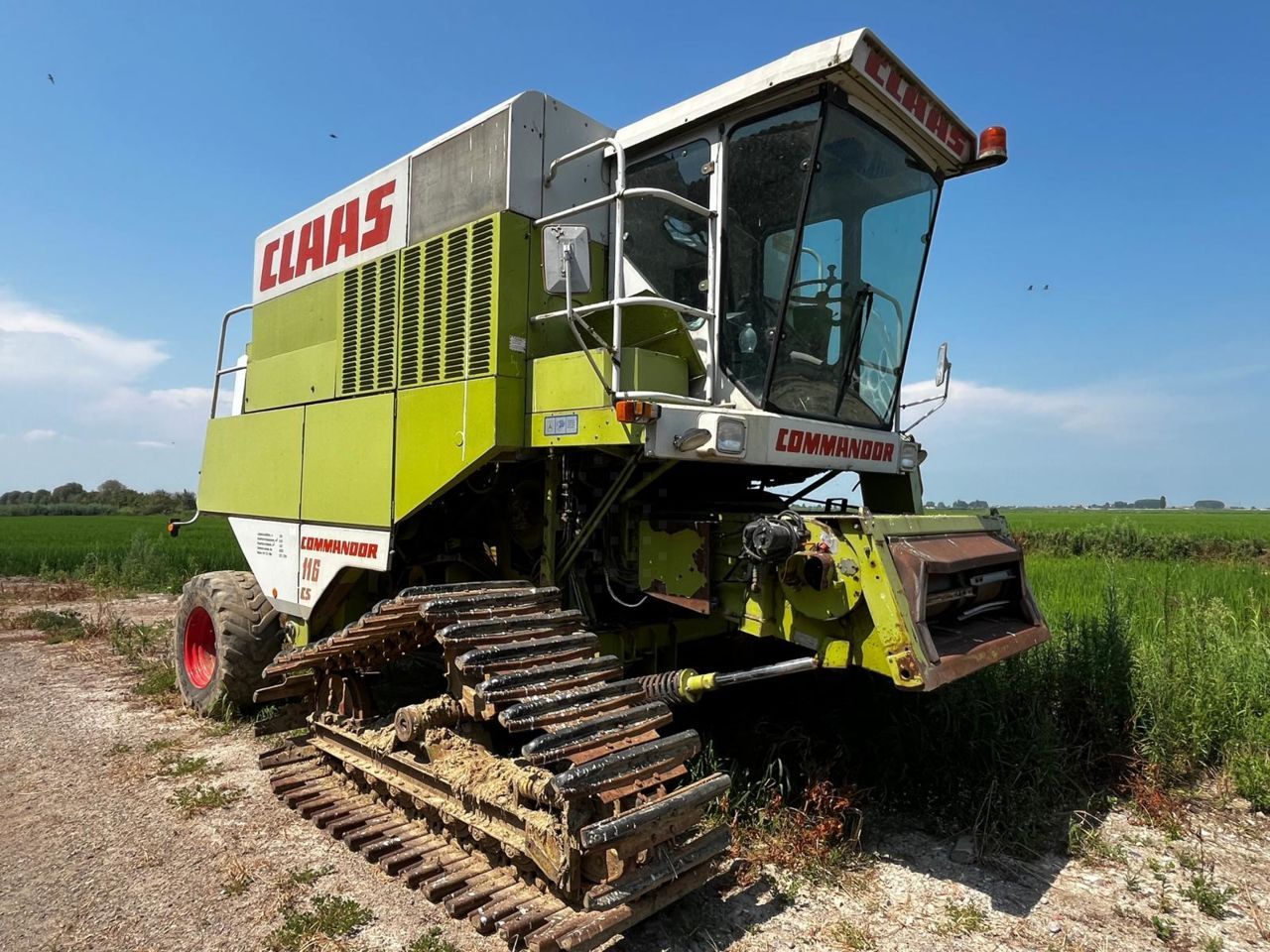 E-FARM: Claas commandor 116cs - Kombajn zbożowy - id QW33D3D - Rok produkcji: 1991 - Motogodziny: 3669,Włochy