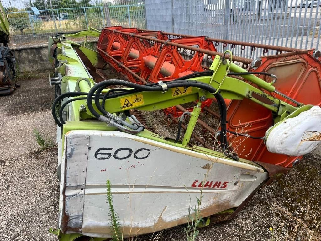 E-FARM: Claas c 600 - Erntevorsatz - id WFYLRIM - Baujahr: 2004 - Italien