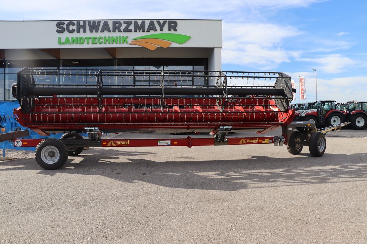 E-FARM: Ziegler schneidwerkswagen für 3050 6,7 2wt - Vegetable harvester - id B5P14NG - Austria