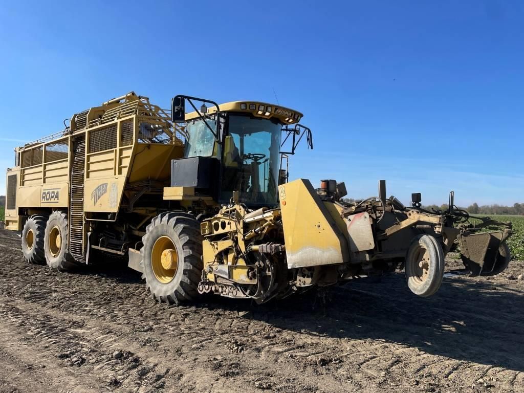 E-FARM: Ropa euro tiger - Arracheuse de betteraves - id XGVTCSK - 66 817 € - Année: 2003 - Puissance du moteur (chevaux): 500,Hongrie