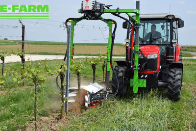 E-FARM: HAMMERSCHMIED stammputzer für traktor frontanbau mit 6 rotoren - Matériel pour vergers et vignobles - autres - id HPEQNSC - 16 975 € - Année: 2022