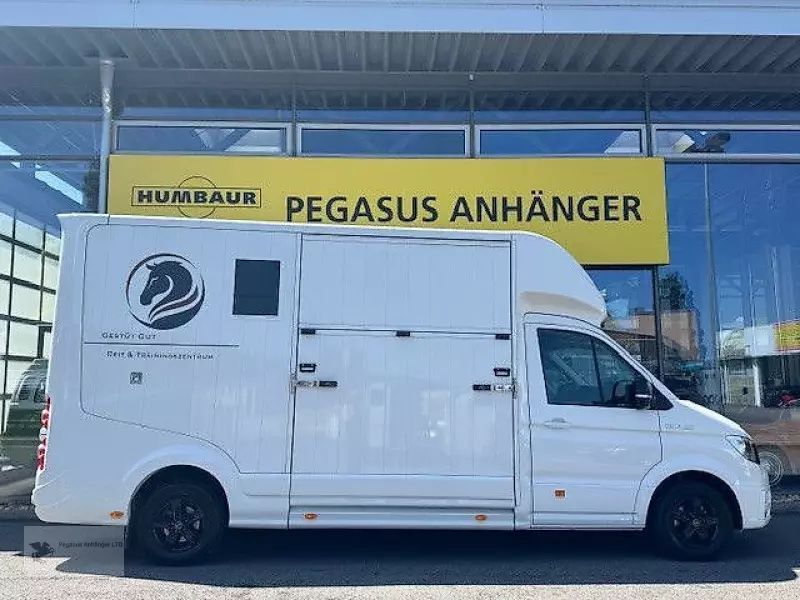 E-FARM: MAN tge 4.180 roelofsen alu 2 pferdetransporter 4,4t - Trailer - id VIPVFCN - €79,999 - Year of construction: 2022 - Germany