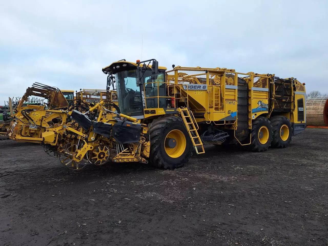 Ropa tiger 6s Kombajn buraczany