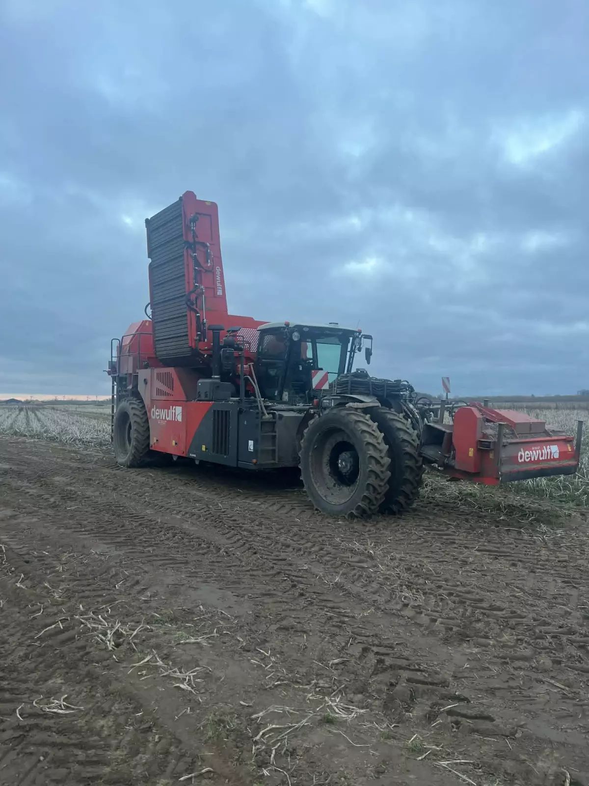 Dewulf rqa3060 Potato harvester €334,134