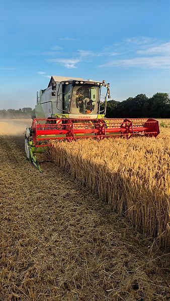 Claas Tucano 430 Kombajn zbożowy 99 000 €