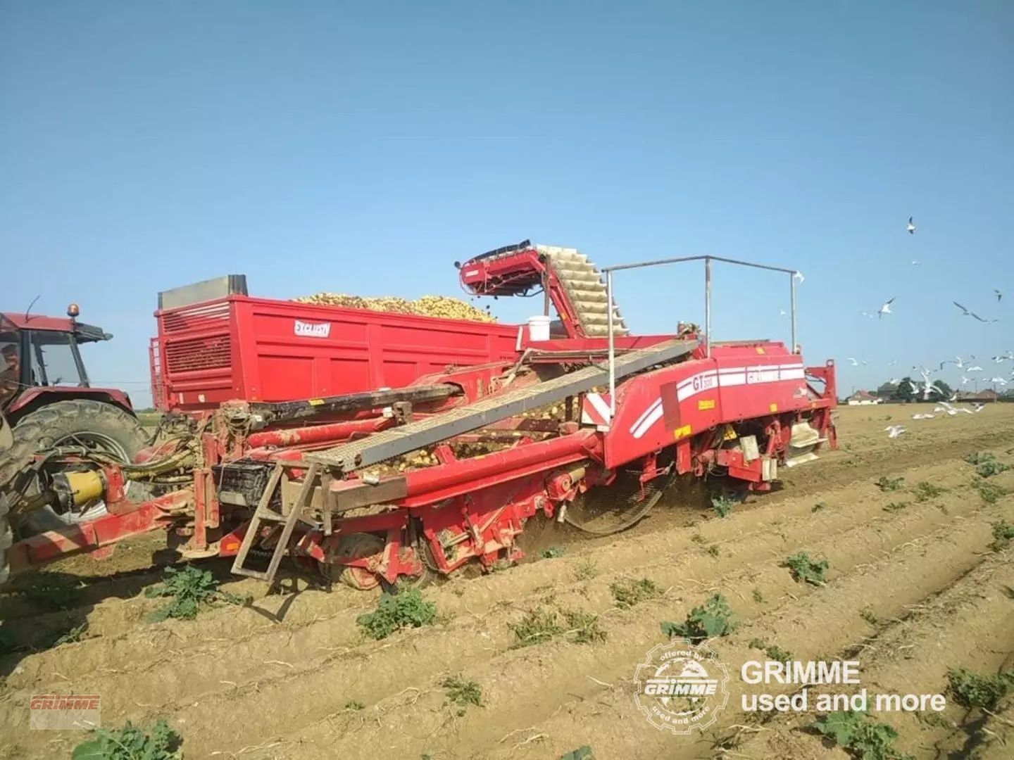 E-FARM: Grimme gt 300 - Arracheuse de pomme de terre - id EN9DGYV - 79 500 € - Année: 2013 - Lecture du nombre d'heure: 1 050,France