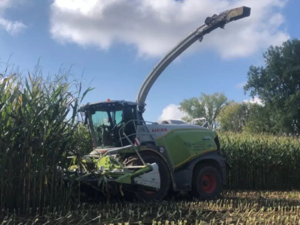 Claas Jaguar 970 Self propelled forage harvester €275,000