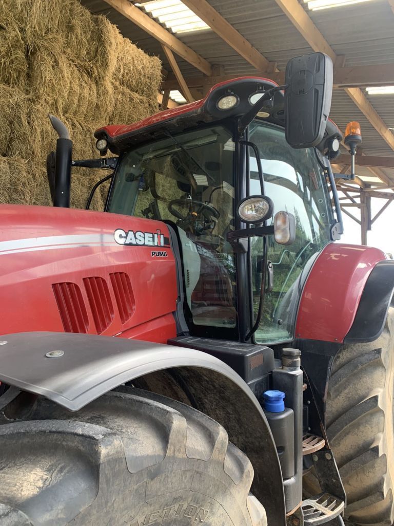 E-FARM: Case IH Puma 185 - Τρακτέρ - id TMIBGN2 - 70.000 € - Χρονία: 2016 - Μετρητής ωρών: 4.150,Ισχύς κινητήρα: 185,Γαλλία