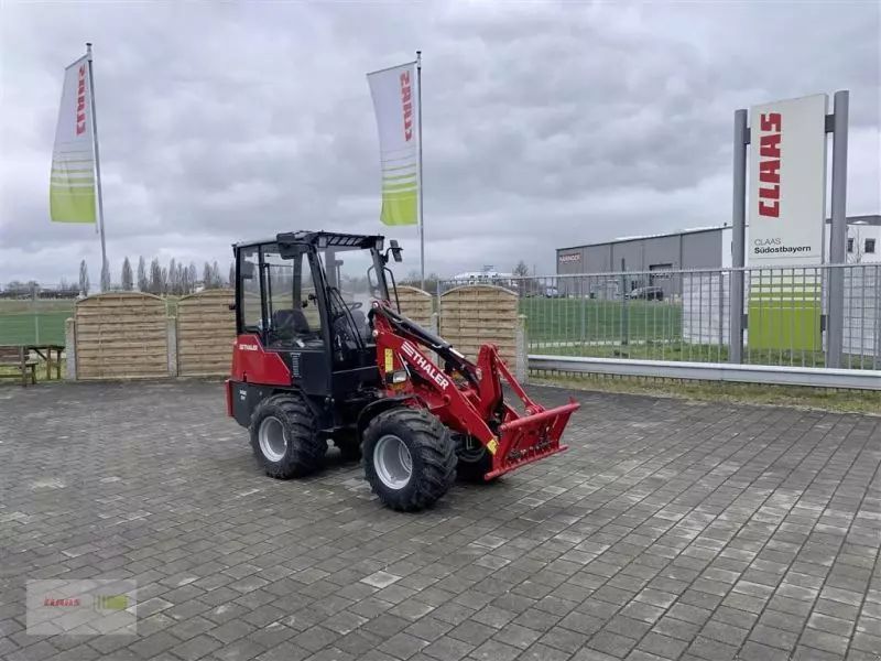 E-FARM: THALER 2438 S - Wheel loader - id UM7BIPV - €35,900 - Engine power (HP): 38 - Germany
