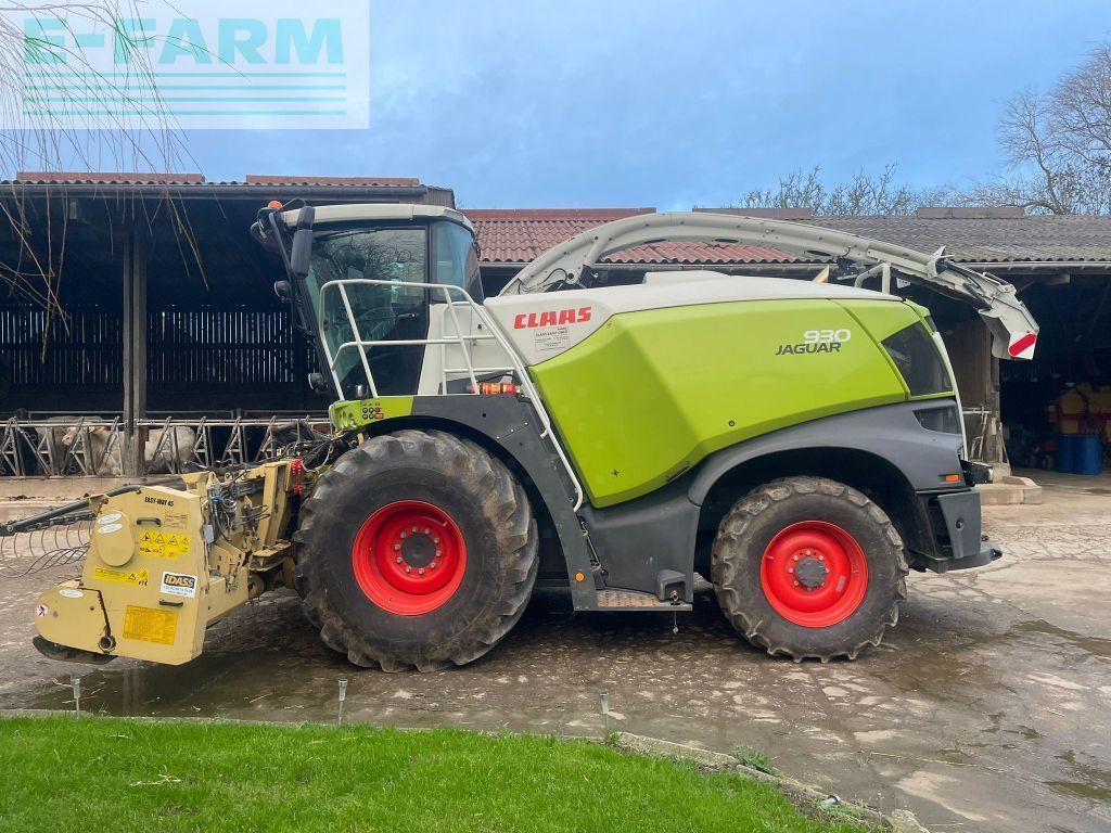 Claas Jaguar 930 Sieczkarnia samobieżna 265 000 €