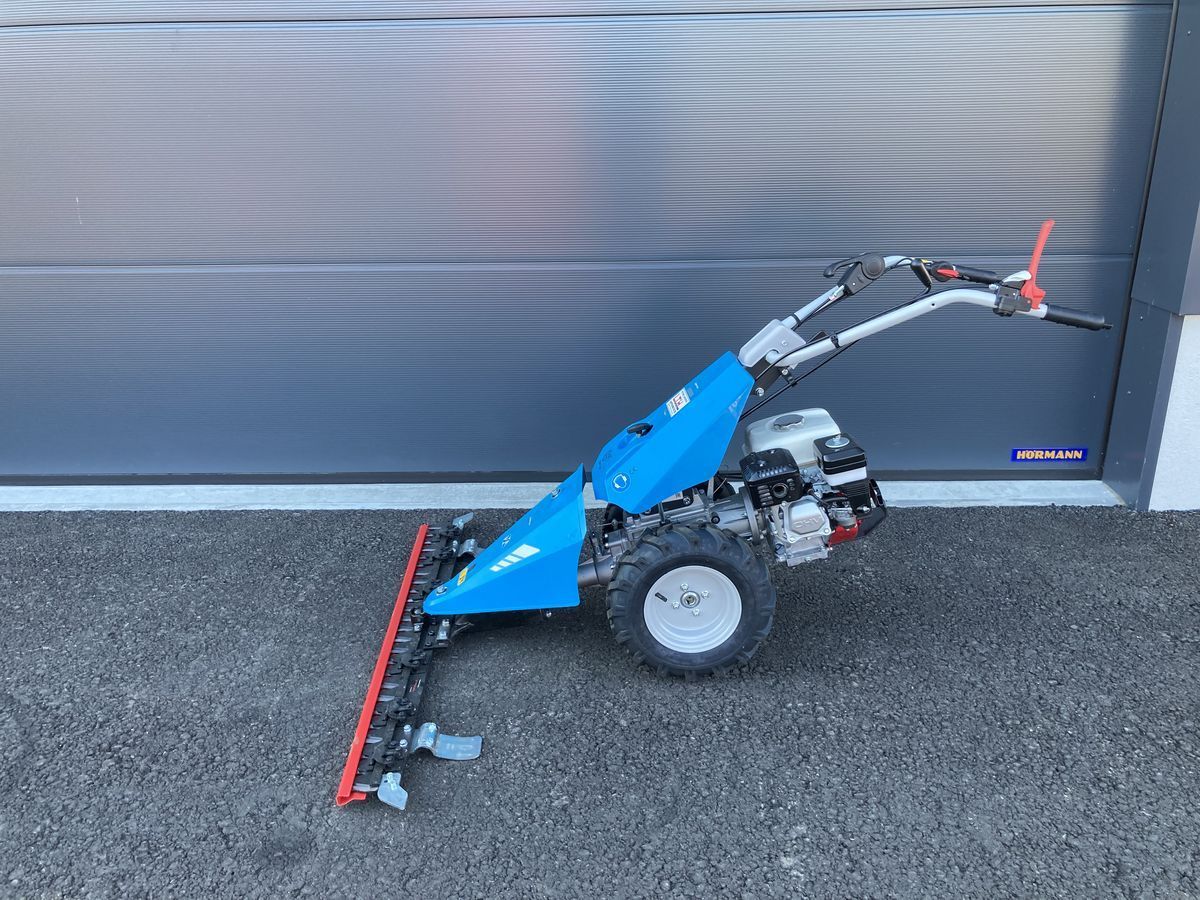E-FARM: Bertolini b 55 - Faucheuse - id NVSU4EY - Année: 2024 - Autriche