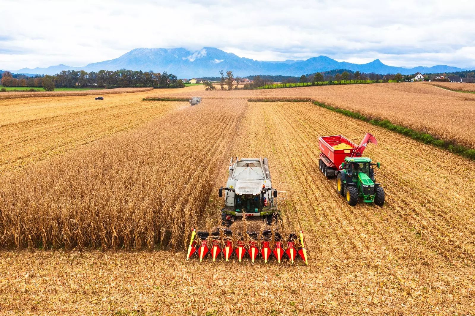 Olimac drago Header €38,000