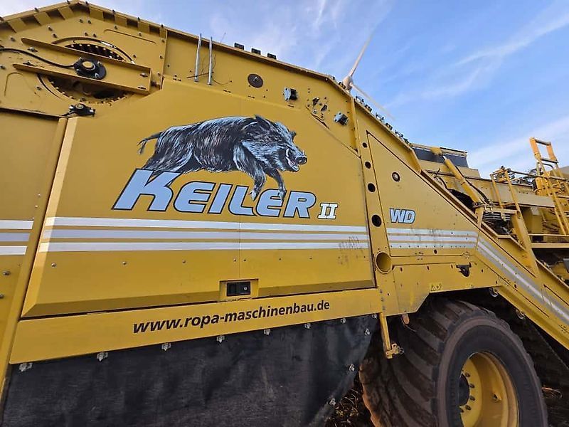 Ropa ropa keiler ll wd mit radantrieb Potato harvester €139,900