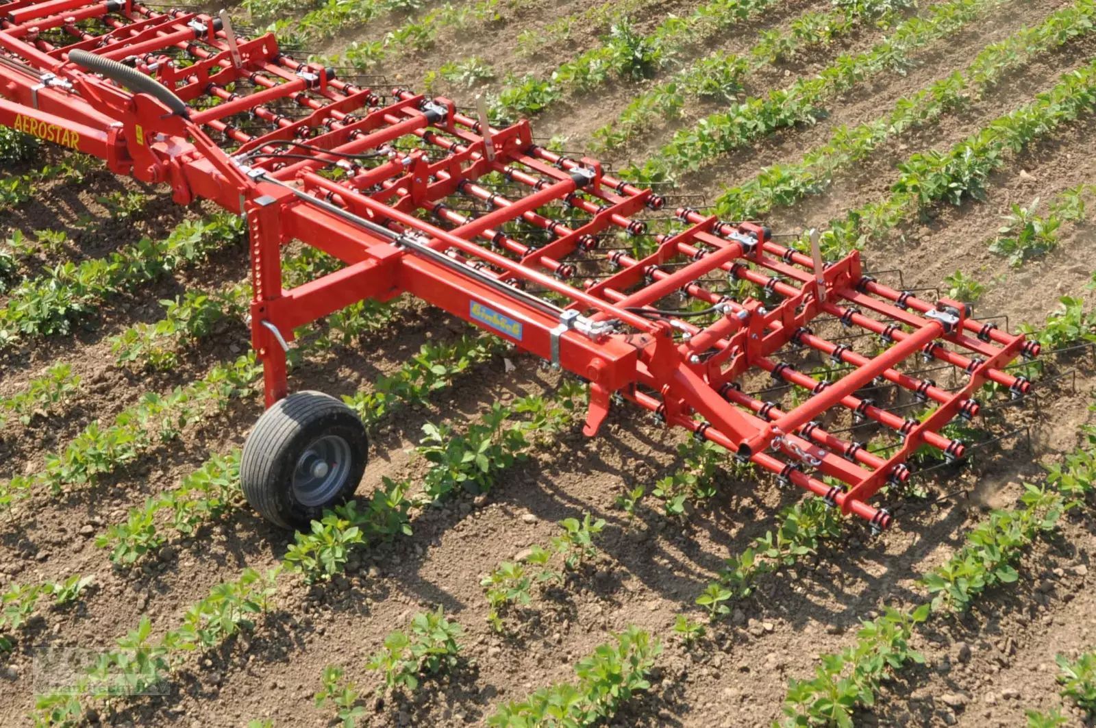 E-FARM: Einböck aerostar 600 - Control mecánico de las malas hierbas - id N6WBRQP - Año: 2022 - Alemania