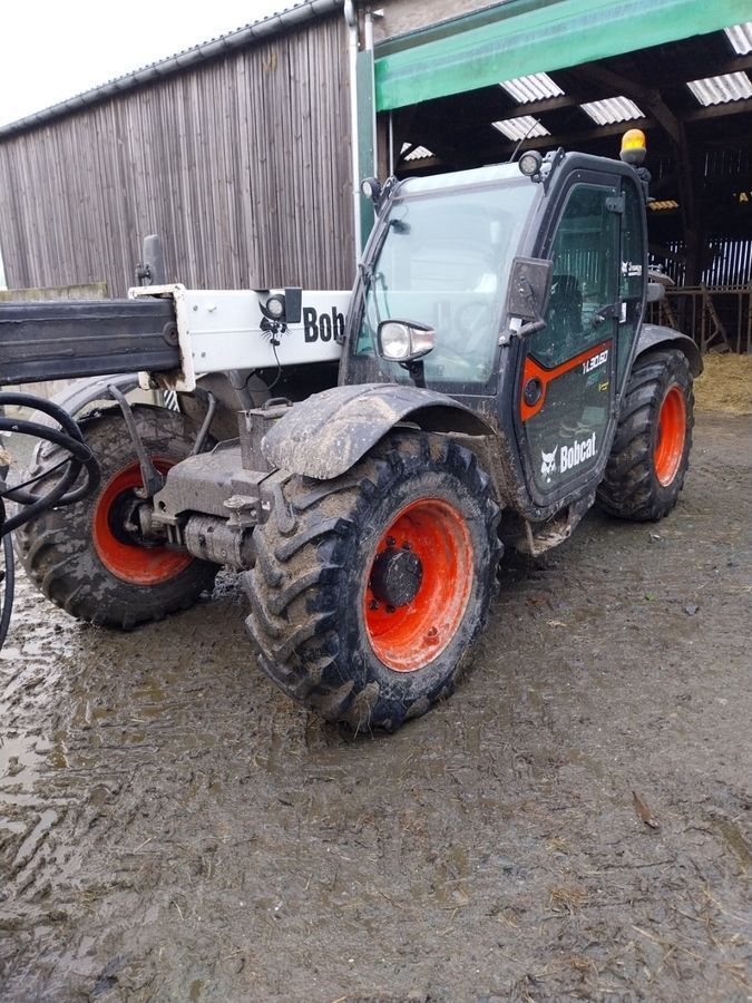 E-FARM: Bobcat 30.60 - Chargeur télescopique  - id ASTXYWT - 63 500 € - Année: 2020 - Lecture du nombre d'heure: 1 800,France